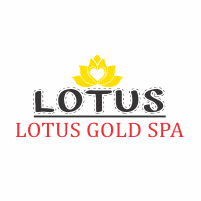 Body Massage Services in Hadapasar Pune 